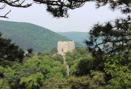 Mödling / CC BY-SA 3.0